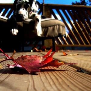 Meet your Posher, Mandi